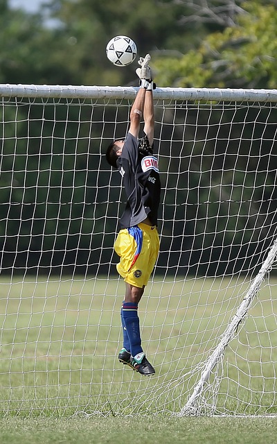 他们通过对 他们通过对